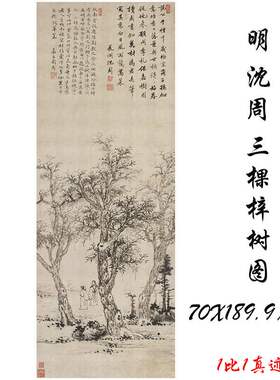 沈周 三棵梓树图 复古书画水墨花卉山水国画微喷仿古复制挂轴装饰