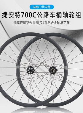 GIANT捷安特自行车轮组培林花鼓