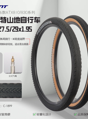 Giant捷安特山地自行车内外轮胎