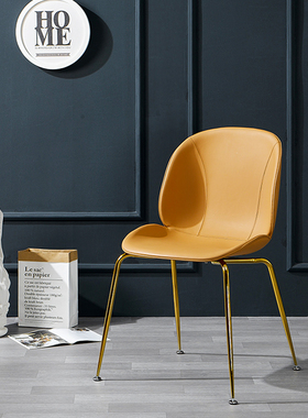 北欧甲壳虫餐椅家用艺术感网红化妆凳简约现代办公轻奢极简休闲椅