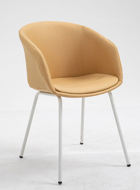 北欧餐椅轻奢家用靠背铁艺科技布设计师椅子商用简约客厅小户型椅