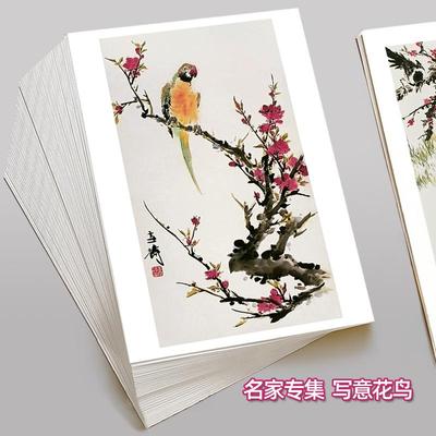 国画临摹卡名家合辑写意花鸟A5高清写意牡丹加厚中国风美术参考图