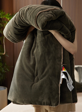 2025新款爆款纯色保暖冬季德绒dralon奶呼呼被子被芯可配四件套