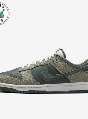 Nike/耐克正品 Dunk Low 男士复古低帮休闲板鞋HF4878-053