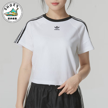 Adidas/阿迪达斯正品三叶草女士运动休闲透气短袖T恤JC8704