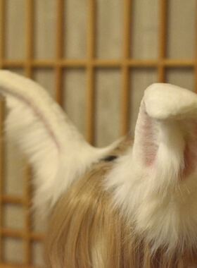 三尾树中秋活动原创cos兽耳兔耳头箍夹子Lolita手作兔子手作