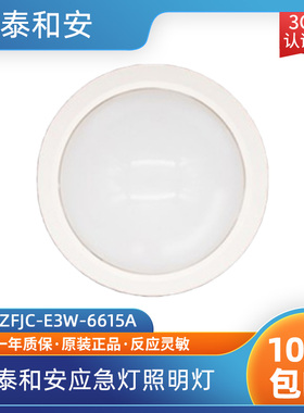 泰和安应急灯照明灯具TS-ZFJC-E3W-6615A吸顶式紧急逃生照明灯