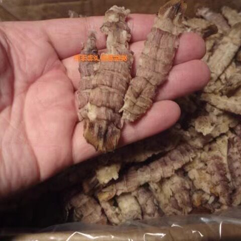 温州干货 虾婆肉干 皮皮虾干/濑尿虾/虾爬/琵琶虾干/超干2份包邮图片