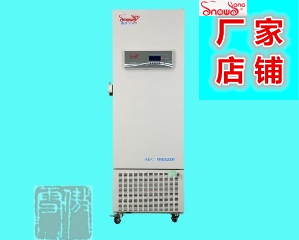 雪颂SNOWSONG-40-30度280升风冷速冻急冷柜快速低温冷冻冰箱柜大0