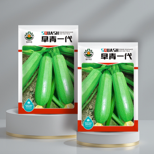 早青一代杂交西葫芦种子西葫种籽占瓜菜茭瓜种子西湖瓜种子西葫瓜