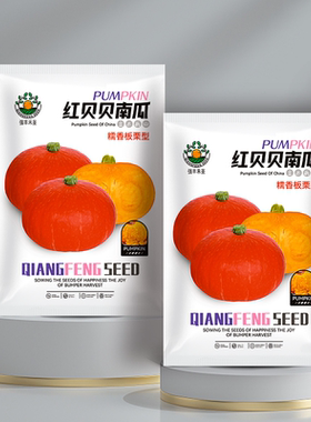红贝贝南瓜种子板栗香甜粉糯红皮小金瓜种籽四季阳台农家蔬菜种孑
