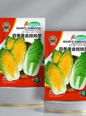 四季早熟娃娃菜种子四季播种高产黄心小白菜高山金娃娃菜蔬菜种籽