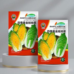 四季早熟娃娃菜种子四季播种高产黄心小白菜高山金娃娃菜蔬菜种籽