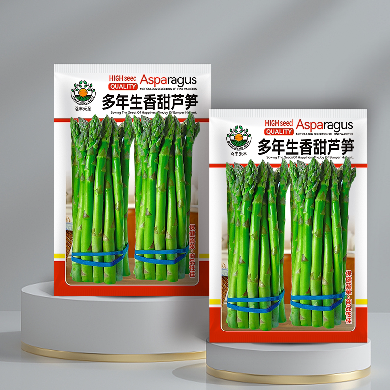 四季芦笋种子阳台盆栽芦笋籽种上海露笋莒县绿笋青笋紫芦笋蔬菜孑
