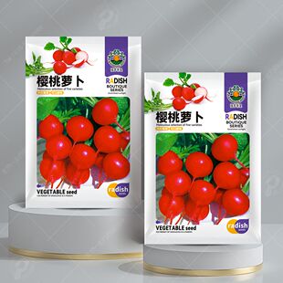 樱桃萝卜种籽小水萝卜种子红白小萝卜水果萝卜罗卜大全蔬菜种籽孑