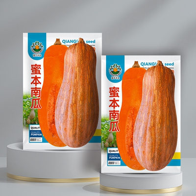 蜜本南瓜种子超甜粉面蜜本甜南瓜早熟高产耐贮运四季蔬菜种籽早栗