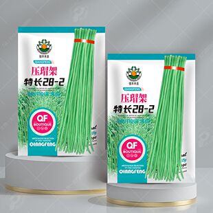 压瑁架特长28-2豇豆角长豆角种子压塌架小五叶特长豇豆种籽园艺