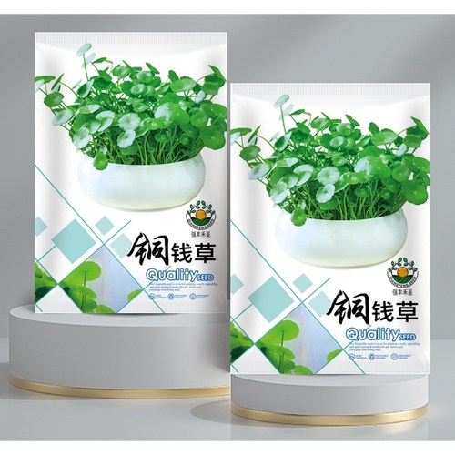 铜钱草种子种籽（包装袋13x19厘米）每包约150粒左右