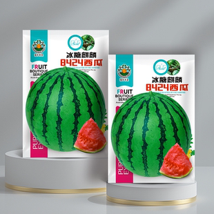 正品冰糖麒麟西瓜种籽南方无籽高产大西瓜四季西瓜8424甜瓜种子孑