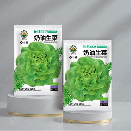 四季速生奶油生菜种子2000粒