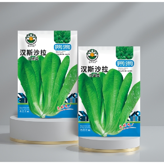 汉斯沙拉汉堡生菜新鲜蔬菜种子四季播种小青菜清脆爽口阳台盆栽菜