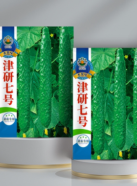 绿色黄瓜种子大全水果春秋四季盆栽高产蔬菜青瓜种籽津研七号种孑