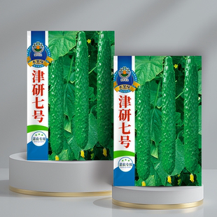 绿色黄瓜种子大全水果春秋四季 盆栽高产蔬菜青瓜种籽津研七号种孑