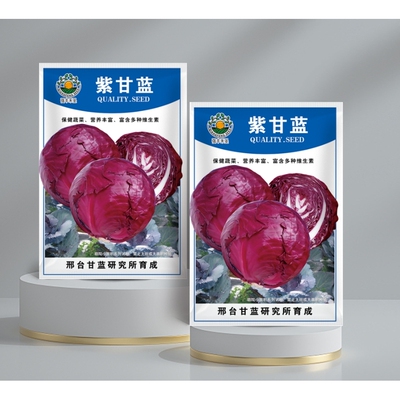 紫甘蓝菜种种苗包菜种籽包心菜种子秋季籽种蔬菜苗孑菜籽卷心菜