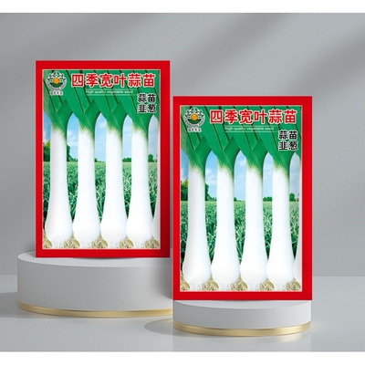 四季宽扁叶蒜苗种子一年四季三茬连续均可种植蒜苗种籽蒜种子高产