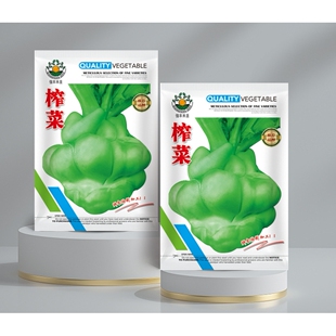 特大榨菜种子涪陵榨菜叶用茎用芥菜种子疙瘩菜耐寒耐抽薹蔬菜种子