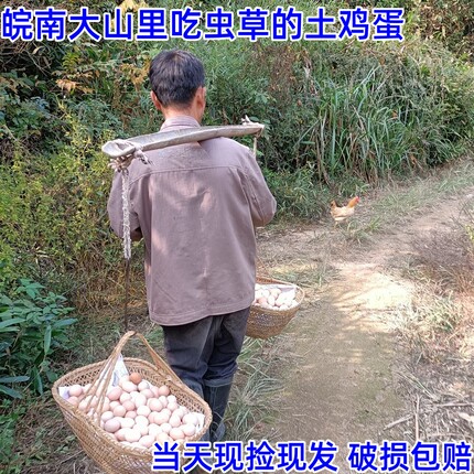 皖南深山散养虫草鸡蛋天然谷物土鸡蛋富硒蛋新鲜现捡农家柴笨鸡蛋