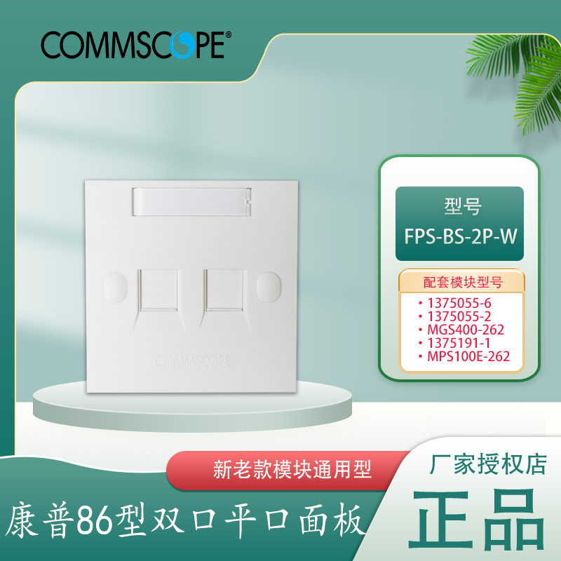 康普AMPNETCONNECT面板2口