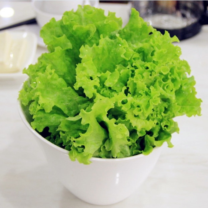 奶油生菜种子蔬菜种籽菜籽苗芽菜室内阳台盆栽庭院四季绿色莴苣