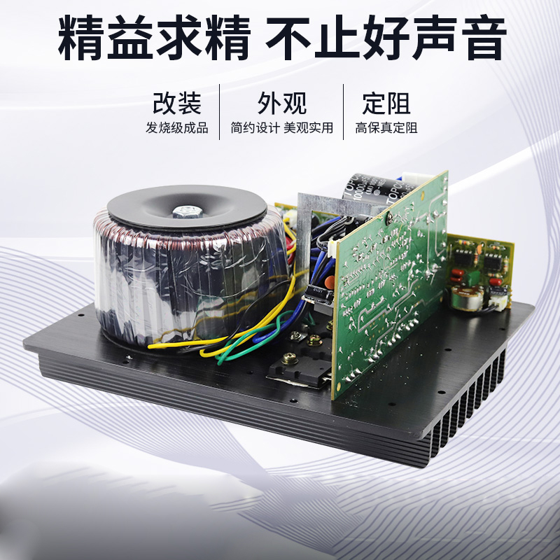 SW500W超重低音 DIY重低音炮 有源单声道低音功放机重低音功放板
