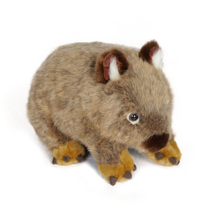 可爱树熊公仔澳大利亚仿真袋熊动物玩偶抱抱棕熊毛绒玩具生日礼物