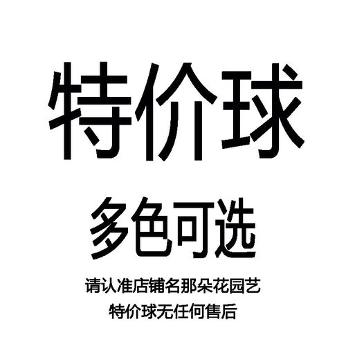 清仓特价朱顶红进口
