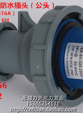 TYPE-3132/typ3232IP67防水工业插头插座3芯16A/32A 2P+E 220V 6H