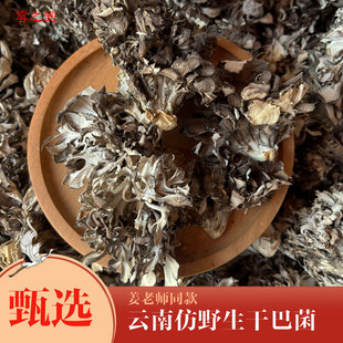 新货云南特产仿野生干巴菌灰树花干货100g无泥沙包邮菌菇煲汤干货