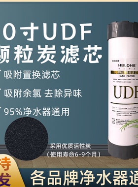 10寸UDF活性炭滤芯颗粒净水机