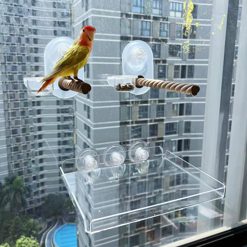 带喂食盒的加厚亚克力吸玻璃盘鹦鹉站架和托盘，加强牢固吸力安装