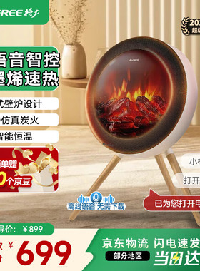 格力北欧时光篝火石墨烯家用速热电暖器轻音烤火 NFTD-X6020BV-MF