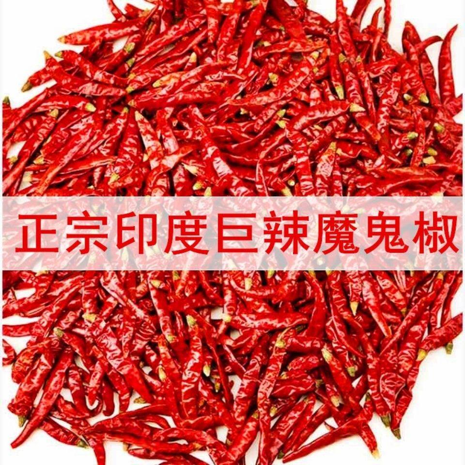 印度魔鬼椒干红辣椒特辣特香超辣正宗变态巨辣辣王段干货磨面磨粉