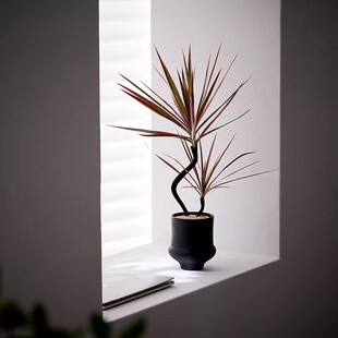 造型双株千年木中古北欧风绿植玄关客厅室内装饰懒人好养盆栽摆件