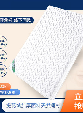 抗菌防螨护脊舒适睡眠