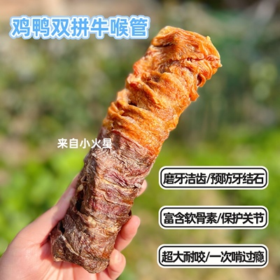 来自小火星磨牙牛喉管预防牙结石