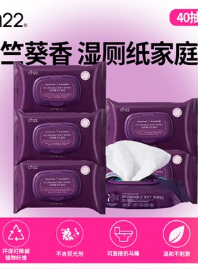 ch22小紫巾湿厕纸成人女性湿纸巾便携装家用痔疮可用擦PP 1提6包