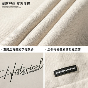 刺绣连帽卫衣女秋冬新款潮牌质感情侣帽衫宽松外套L3838-P49控88图片