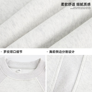 380克高品质圆领卫衣男秋季款Boxy宽松休闲套头衫BMW3949-P40控68图片
