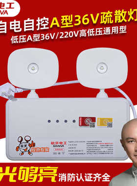 敏华消防应急灯A型36V220V高低压通用双头应急灯安全出口指示灯