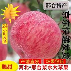 红富士新鲜浆水苹果河北邢台特产当季农家水果10斤整箱平安果
